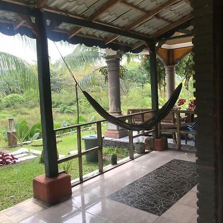 Sumatra Cheeky Monkeys Hotel Bukit Lawang Exterior photo