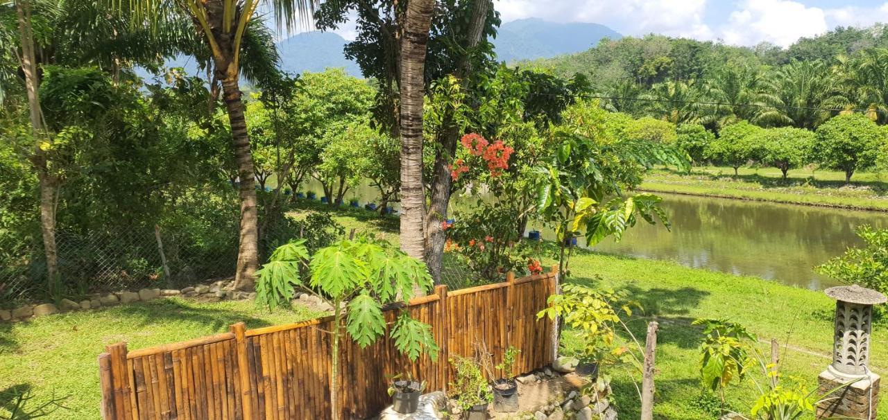 Sumatra Cheeky Monkeys Hotel Bukit Lawang Exterior photo