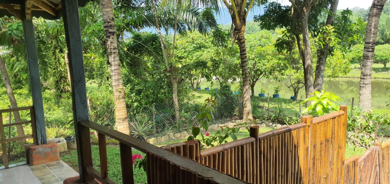 Sumatra Cheeky Monkeys Hotel Bukit Lawang Exterior photo