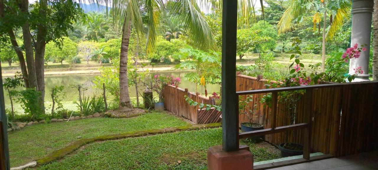 Sumatra Cheeky Monkeys Hotel Bukit Lawang Exterior photo