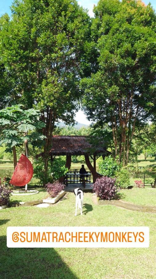 Sumatra Cheeky Monkeys Hotel Bukit Lawang Exterior photo