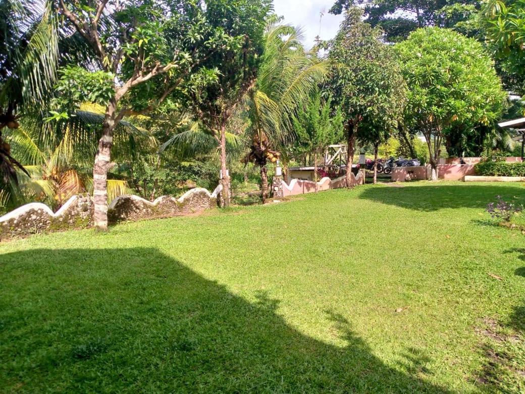 Sumatra Cheeky Monkeys Hotel Bukit Lawang Exterior photo