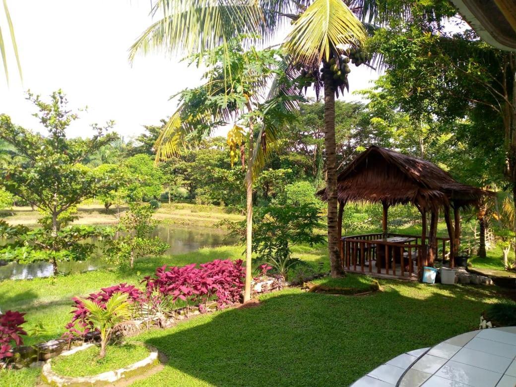 Sumatra Cheeky Monkeys Hotel Bukit Lawang Exterior photo