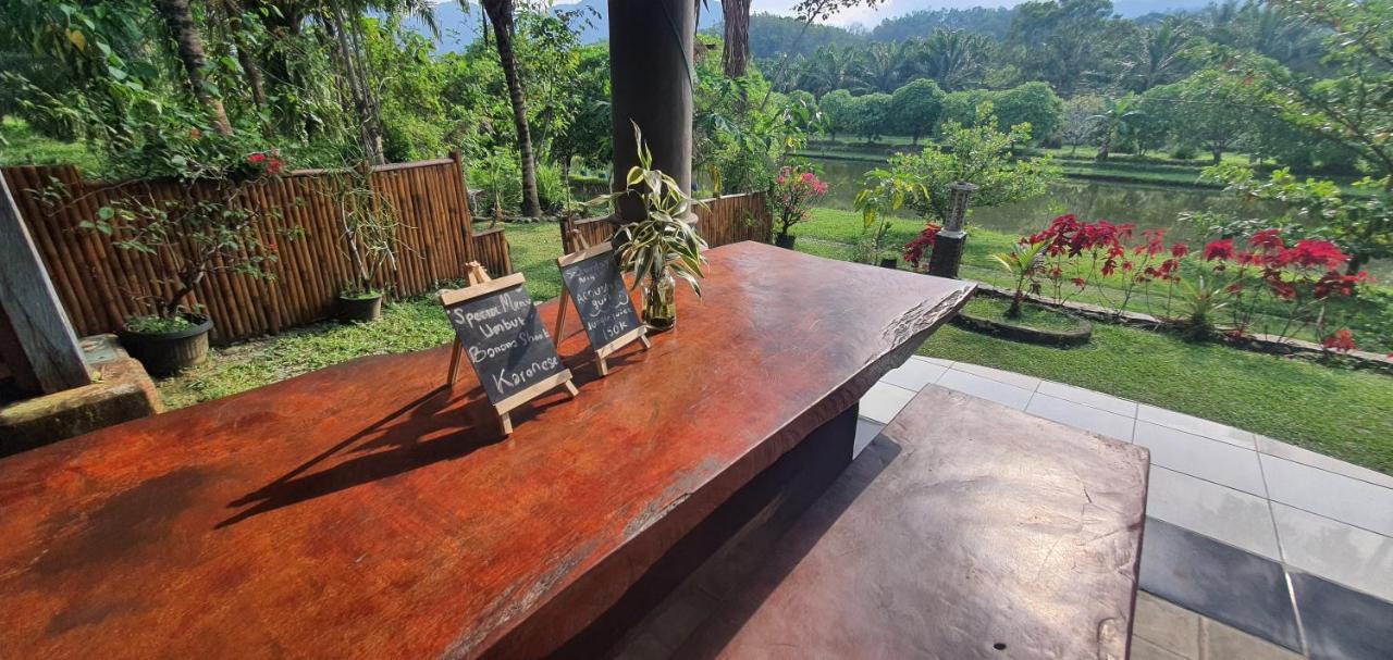 Sumatra Cheeky Monkeys Hotel Bukit Lawang Exterior photo