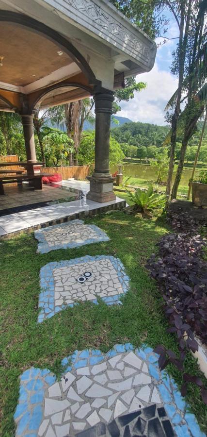 Sumatra Cheeky Monkeys Hotel Bukit Lawang Exterior photo