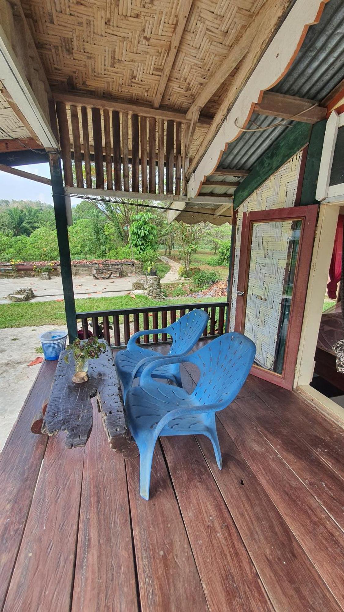 Sumatra Cheeky Monkeys Hotel Bukit Lawang Exterior photo