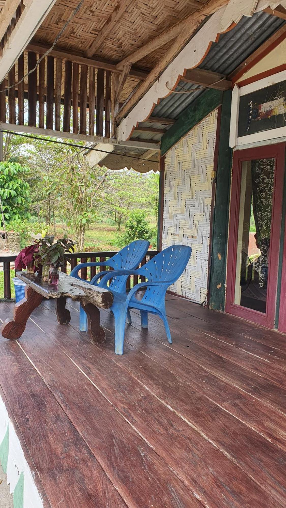 Sumatra Cheeky Monkeys Hotel Bukit Lawang Exterior photo