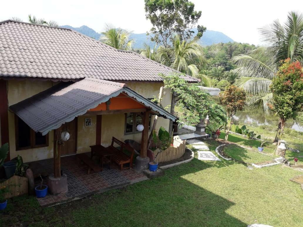Sumatra Cheeky Monkeys Hotel Bukit Lawang Exterior photo