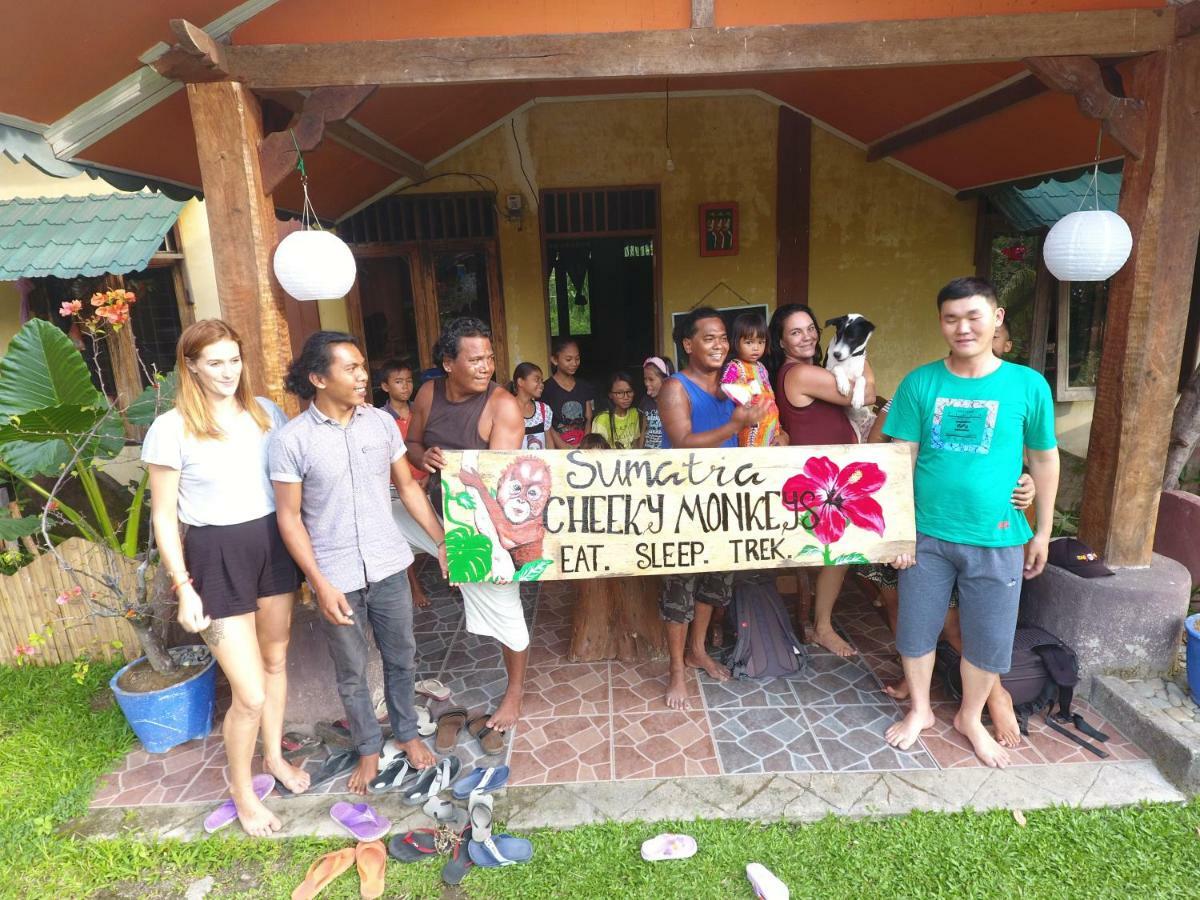 Sumatra Cheeky Monkeys Hotel Bukit Lawang Exterior photo