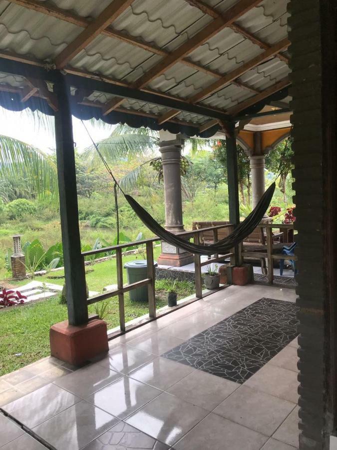 Sumatra Cheeky Monkeys Hotel Bukit Lawang Exterior photo