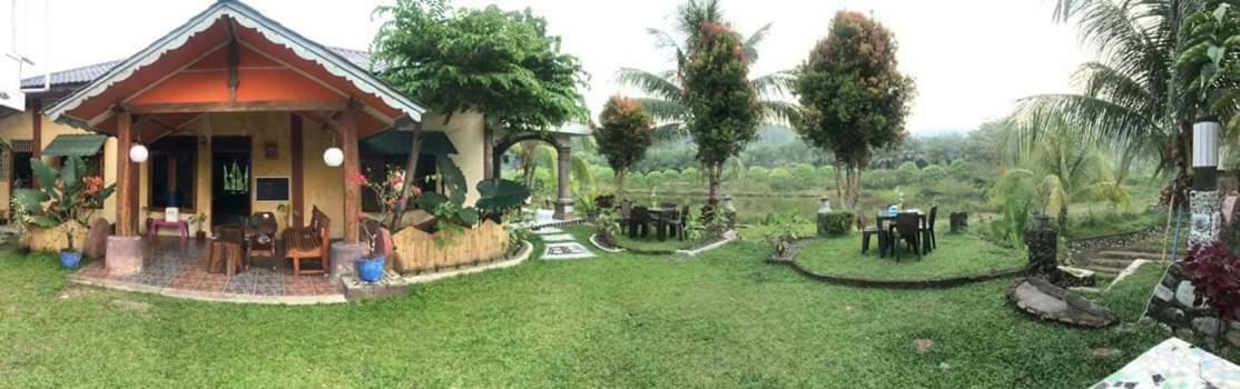 Sumatra Cheeky Monkeys Hotel Bukit Lawang Exterior photo